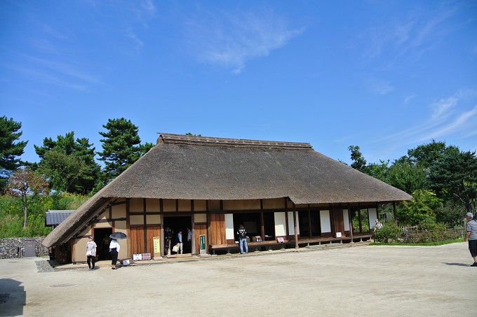 昭和記念公園