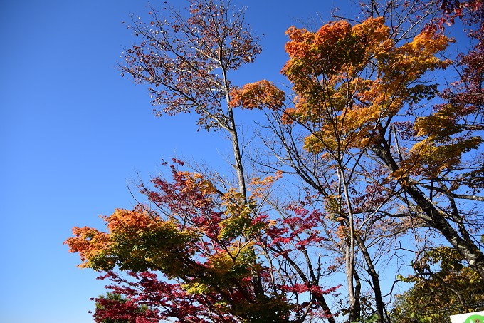 高尾山