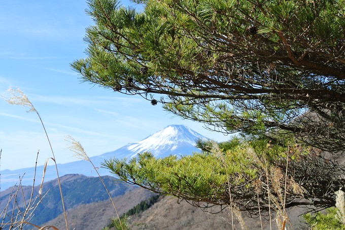 塔の岳