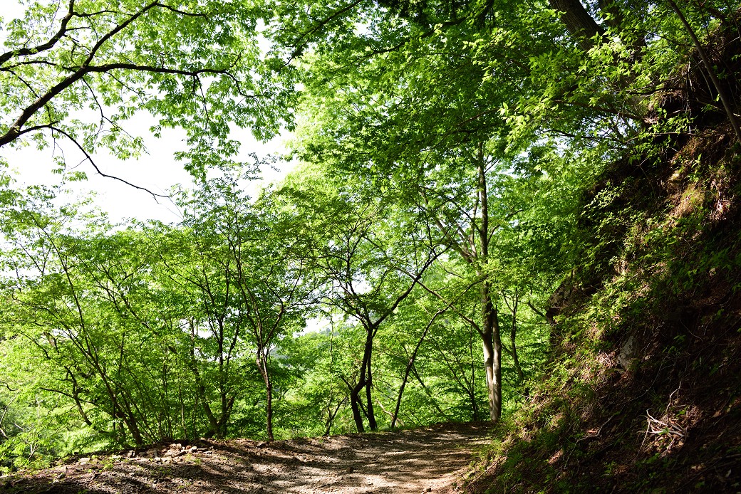 鍋割山