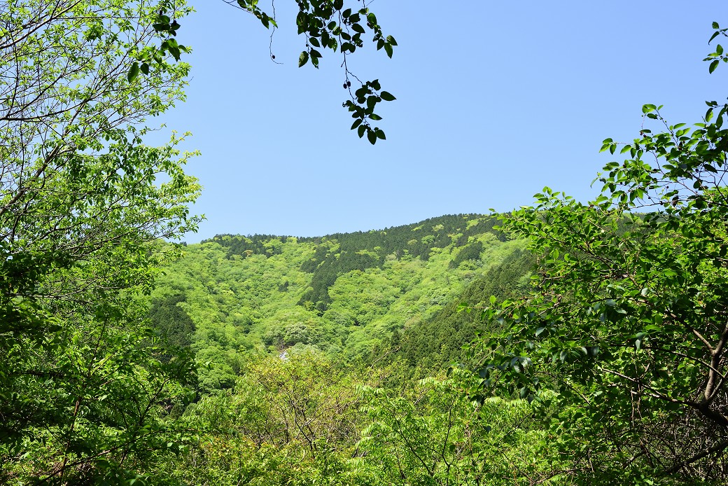 鍋割山