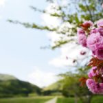 【観光】会津若松、猪苗代湖、五色沼に行ってきました