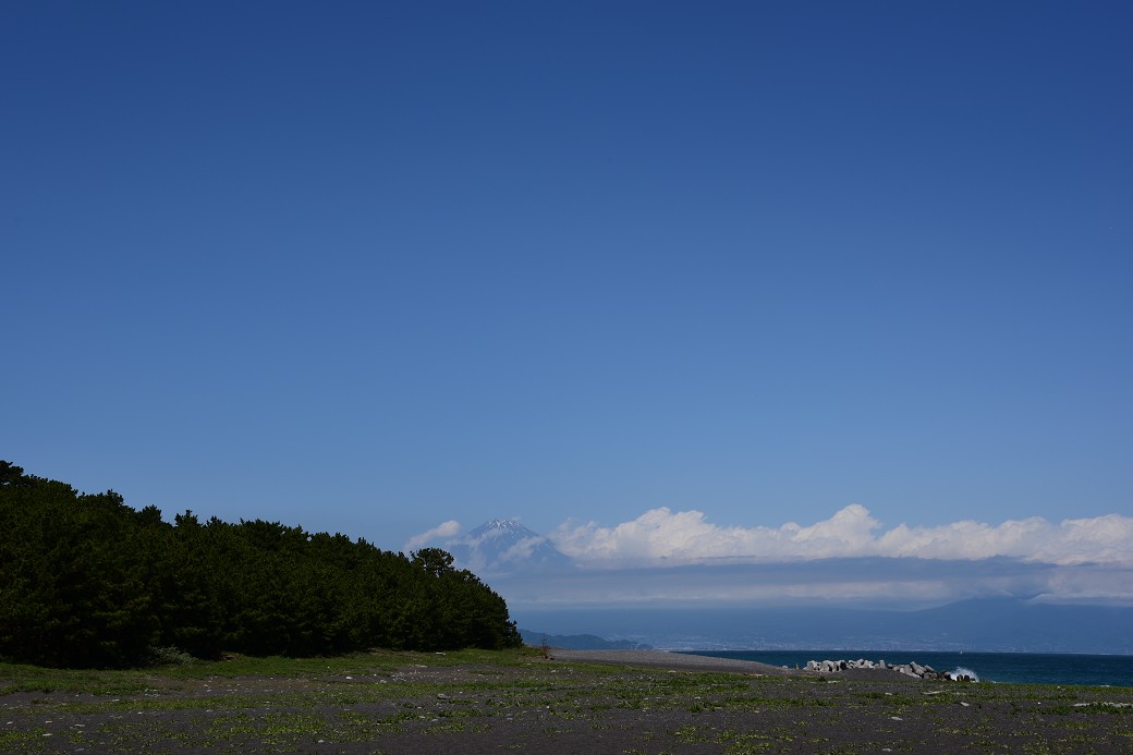 世界遺産三保の松原