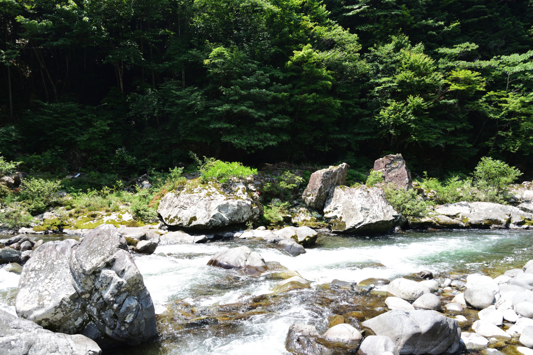 つちのこ館