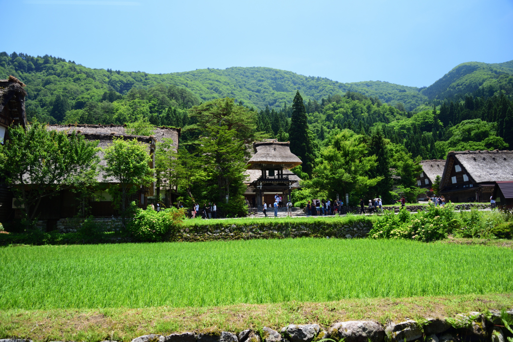 世界遺産白川郷