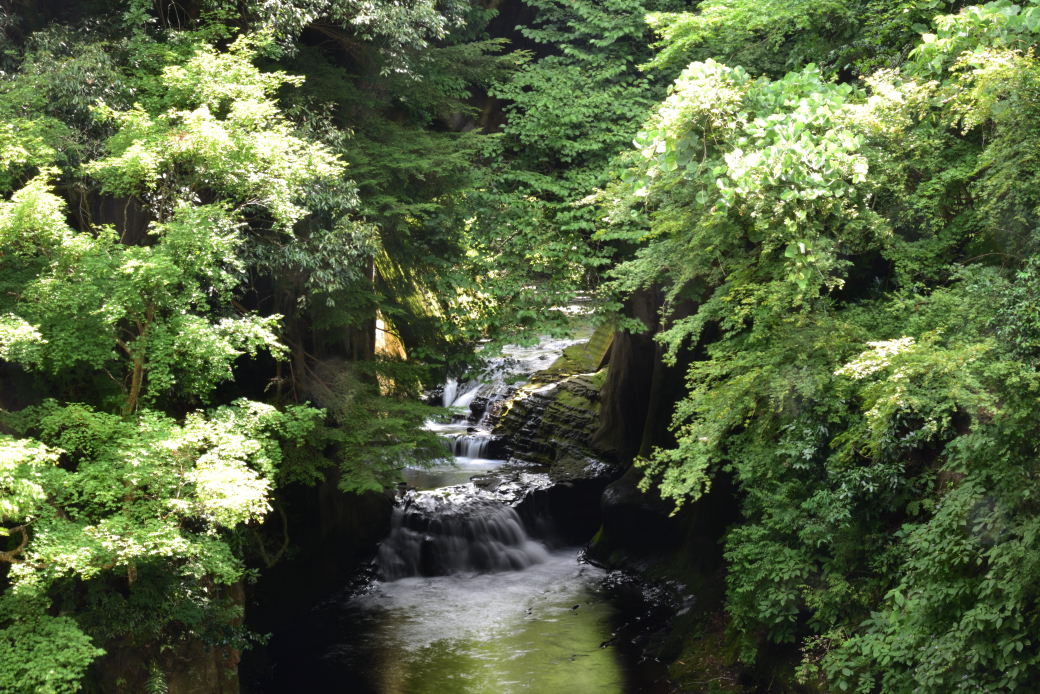 濃溝の滝