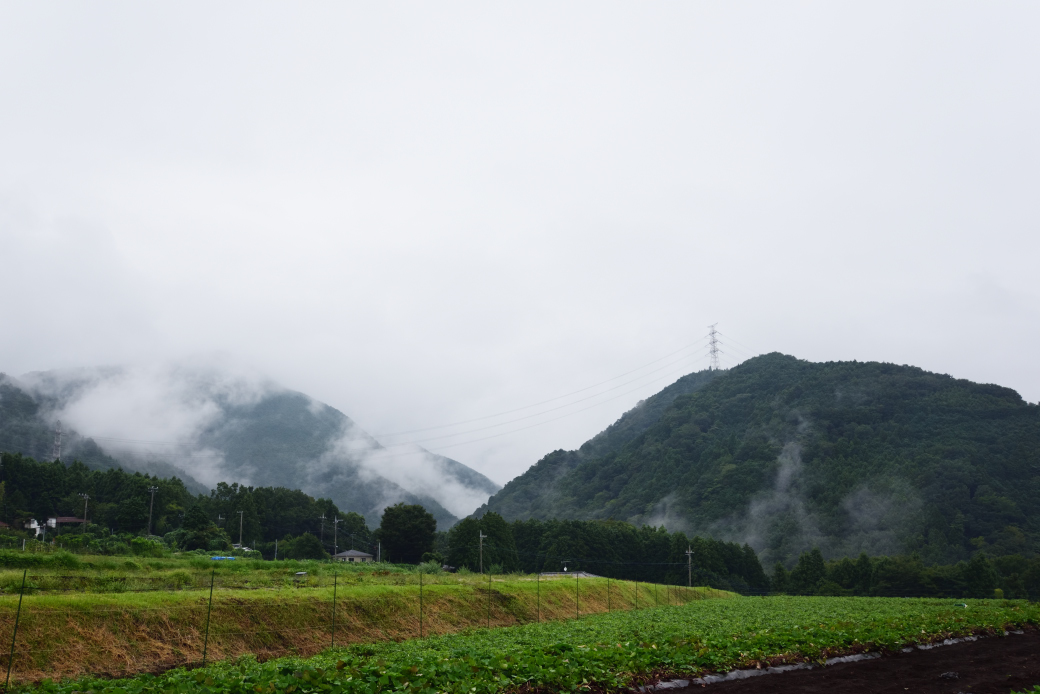 鍋割山