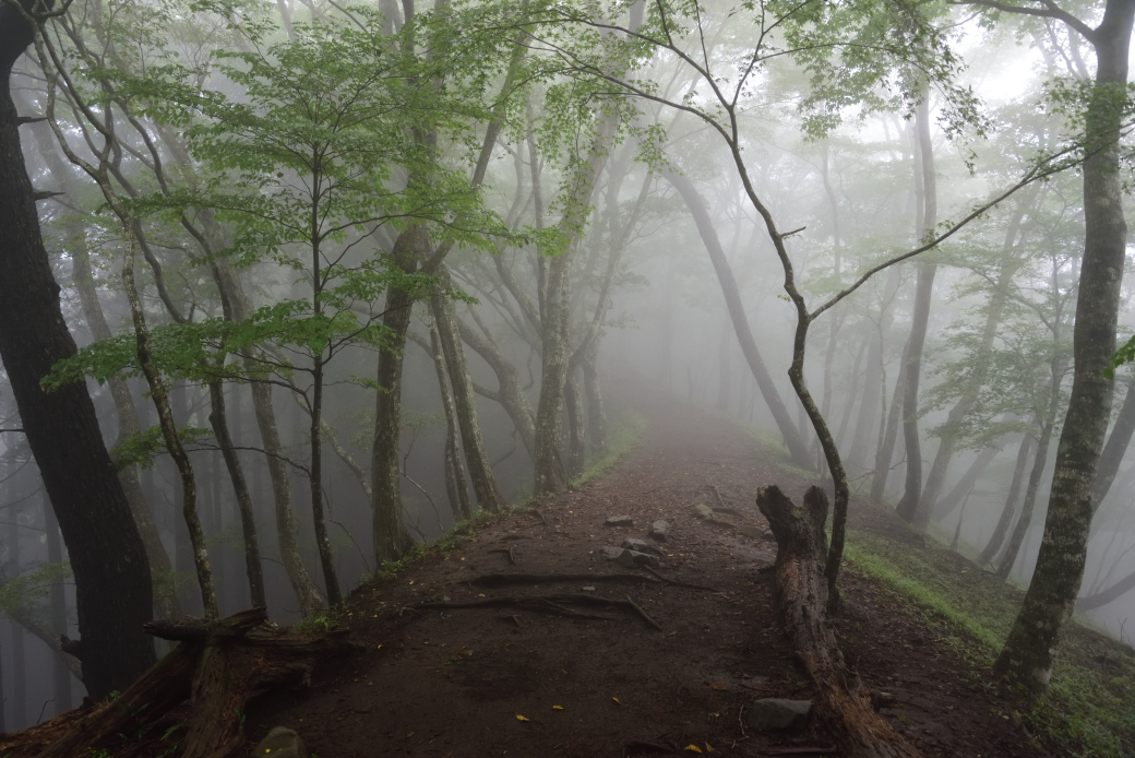 鍋割山