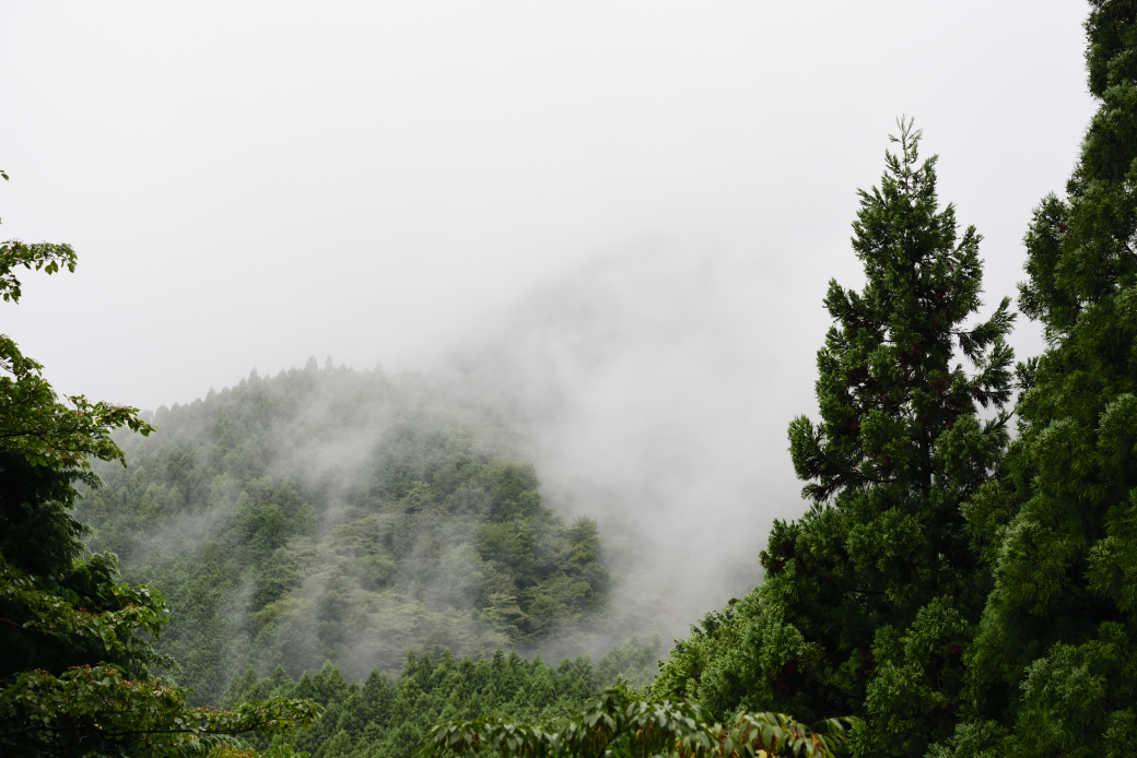 鍋割山