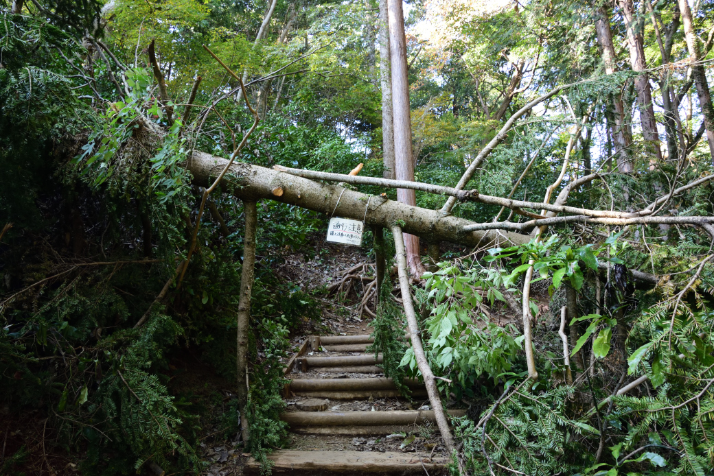 高尾山