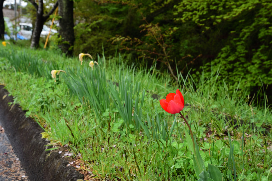 世界遺産毛越寺