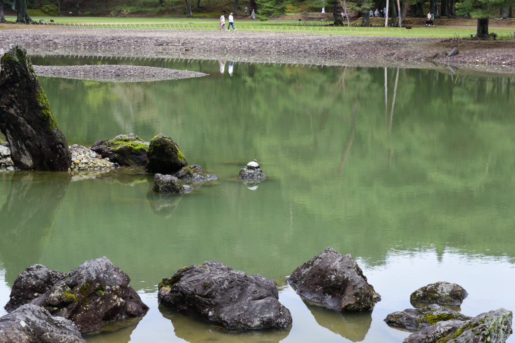 世界遺産毛越寺