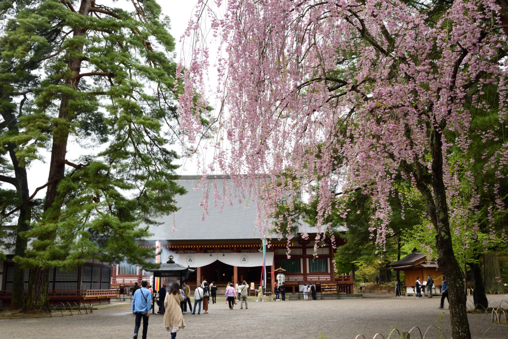 世界遺産毛越寺