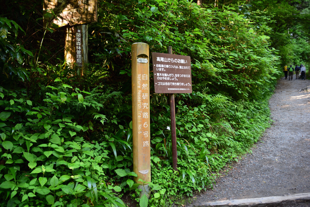 高尾山6号路