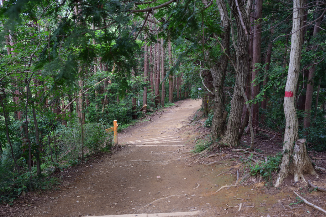 稲荷山コース