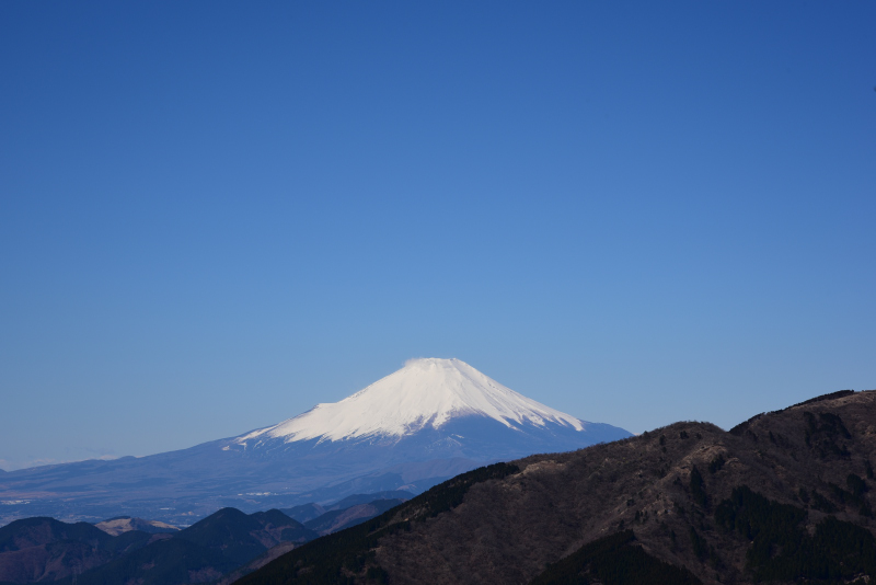 富士山