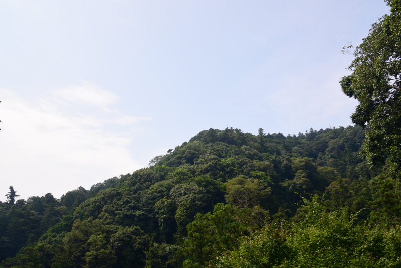 高尾山