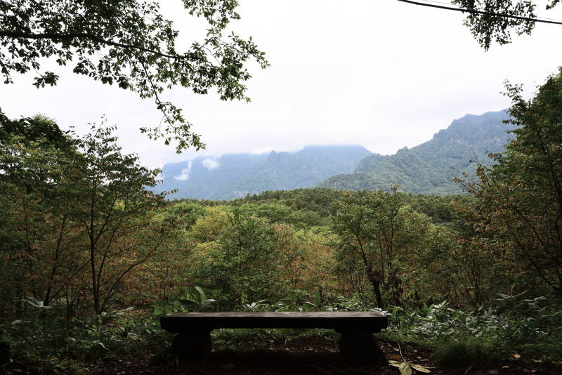 戸隠神社