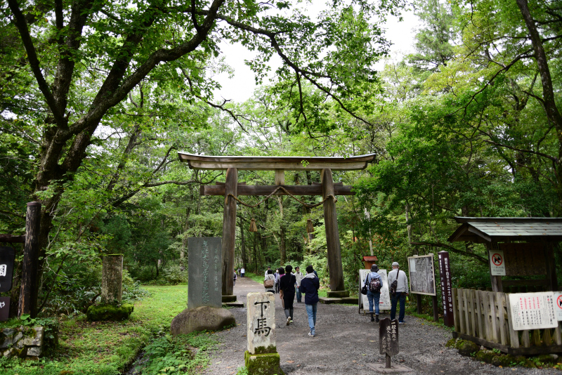 戸隠神社大鳥居