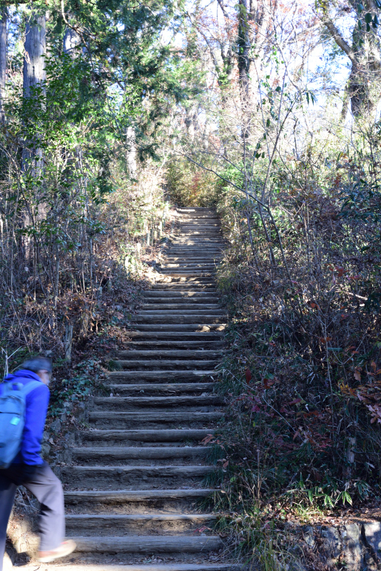 高尾山