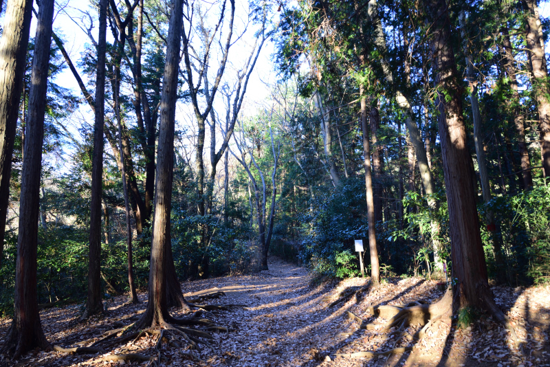 高尾山