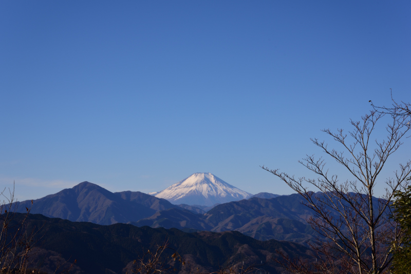 高尾山