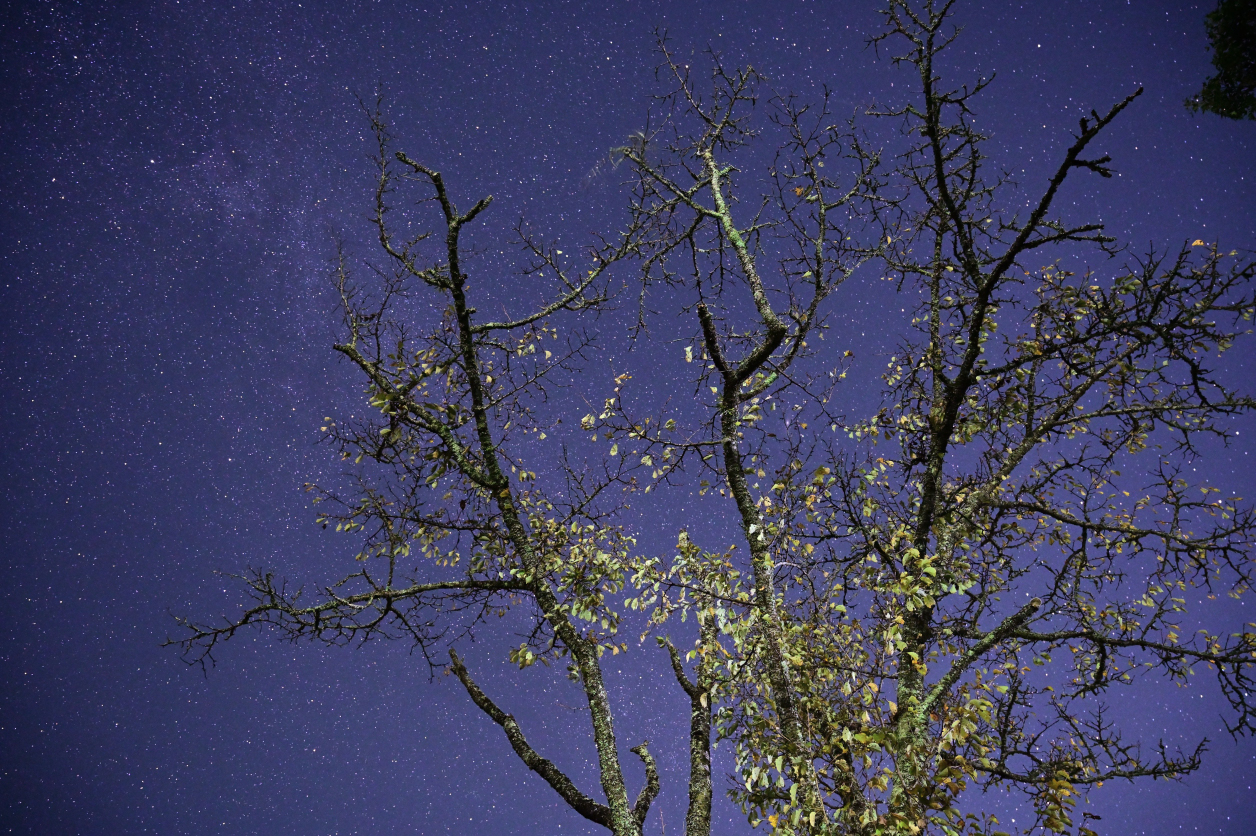 奥多摩湖畔の星景