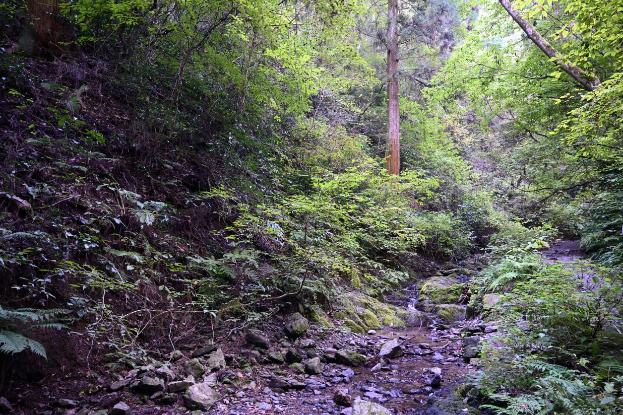 高尾山六号路