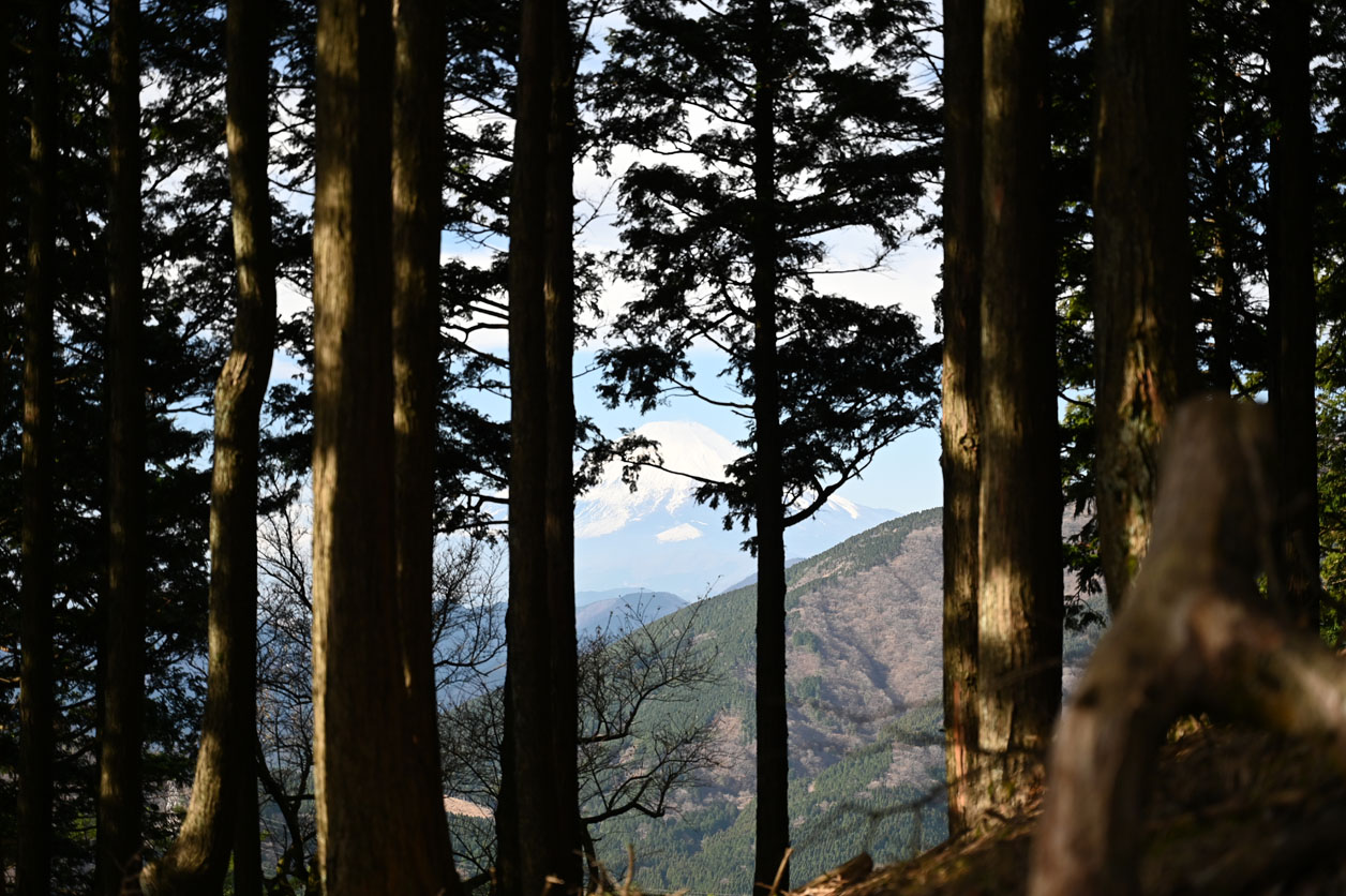 丹沢大山