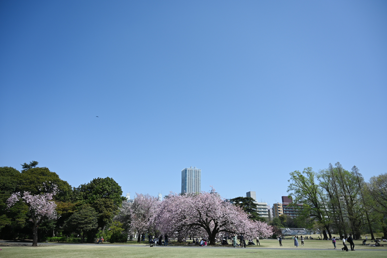 新宿御苑の画像