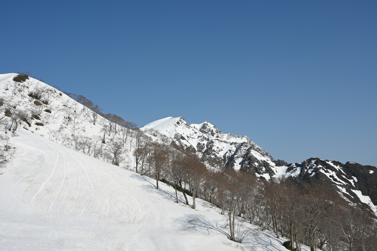 谷川岳