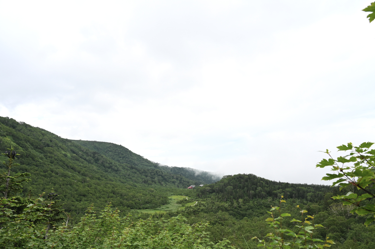 栂池自然園