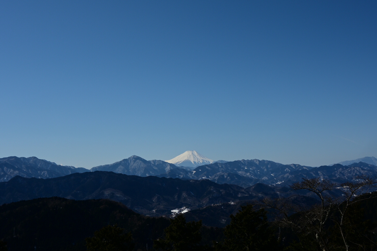 高尾山2023