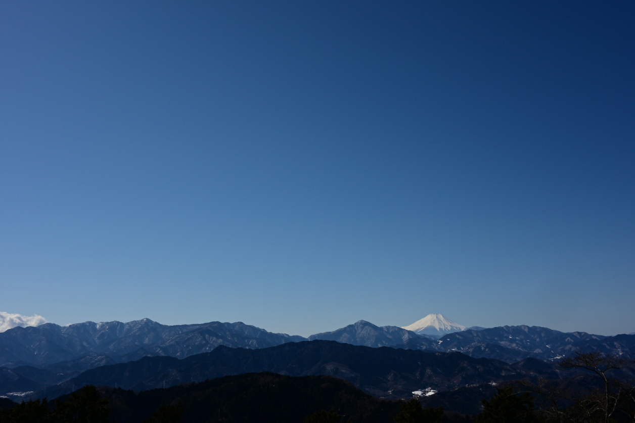 高尾山2023