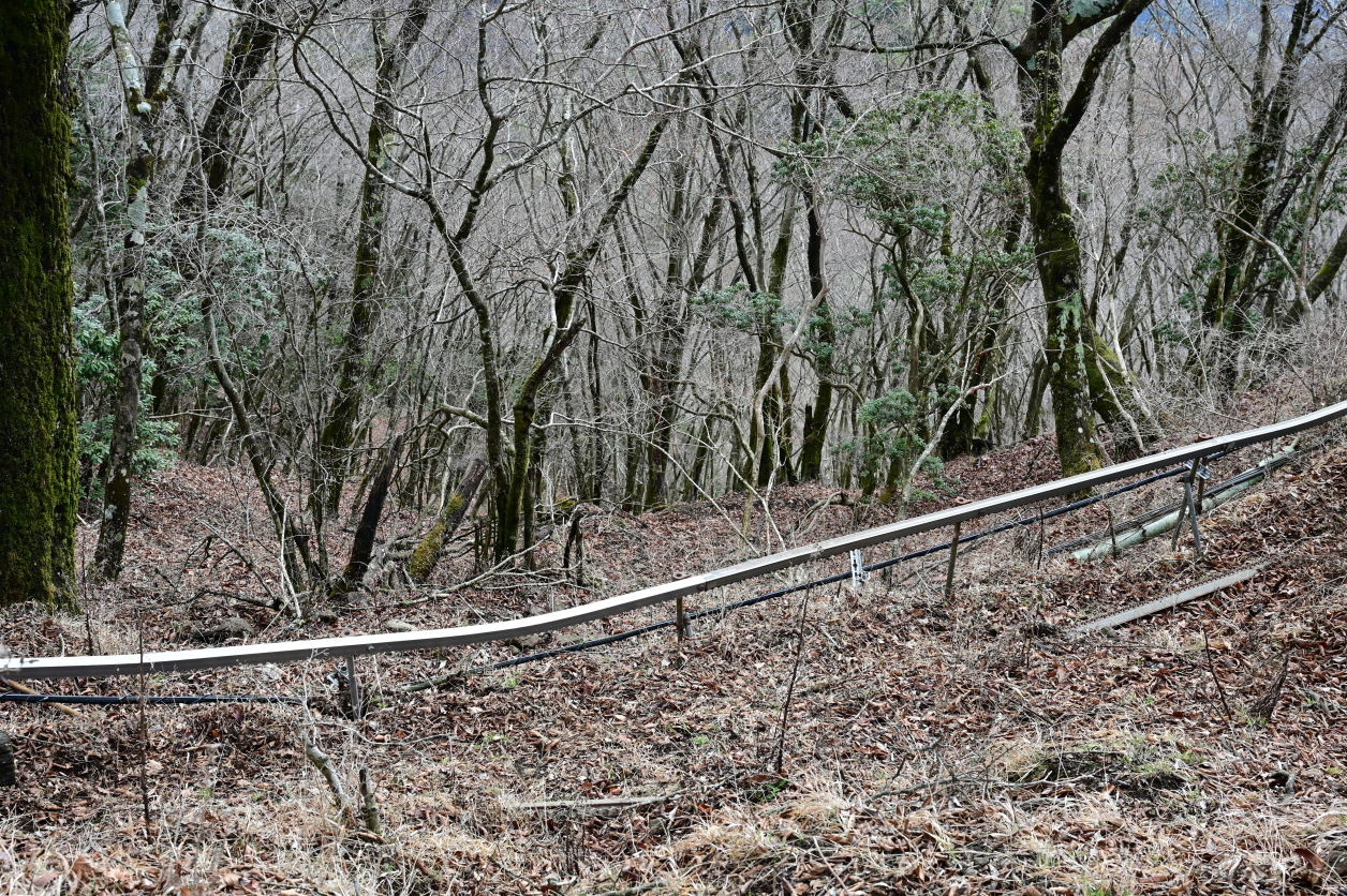 丹沢大山