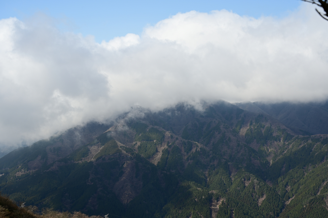 丹沢大山