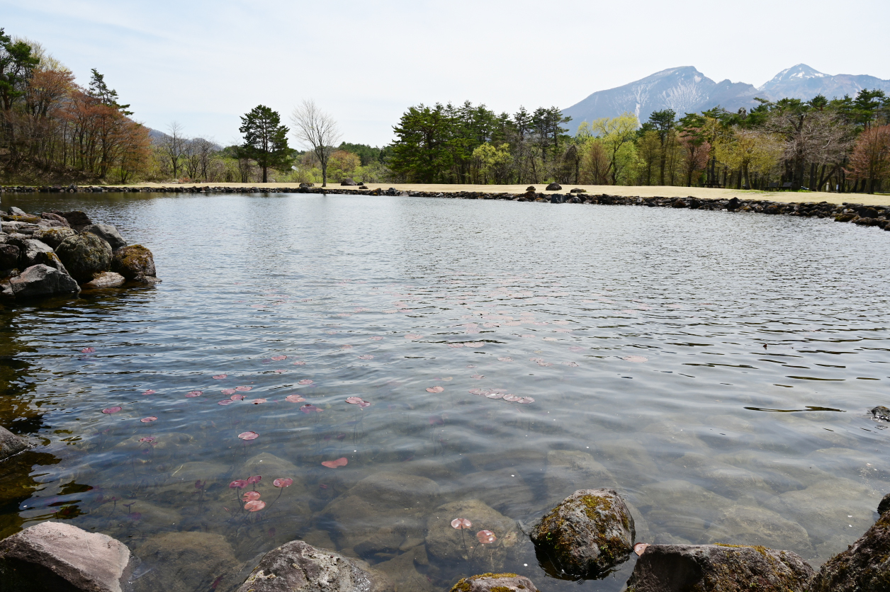 諸橋近代美術館の池