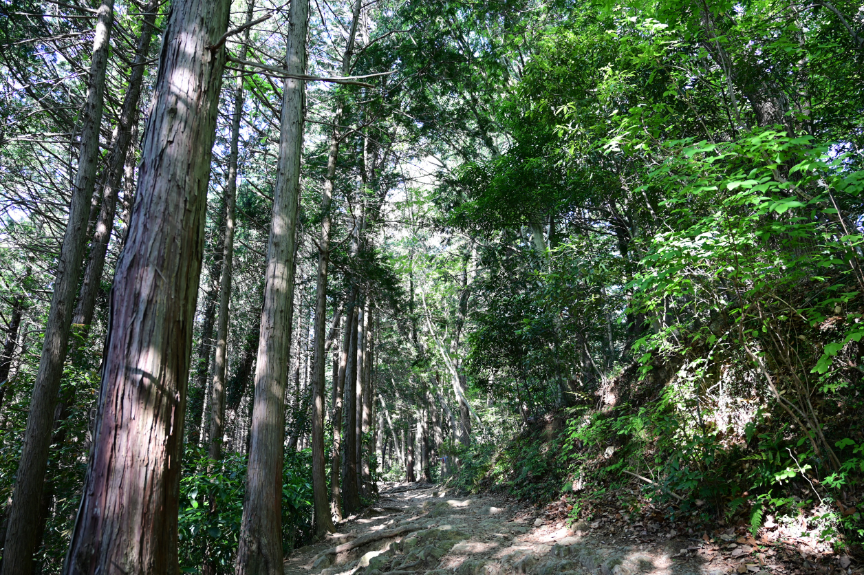 高尾山