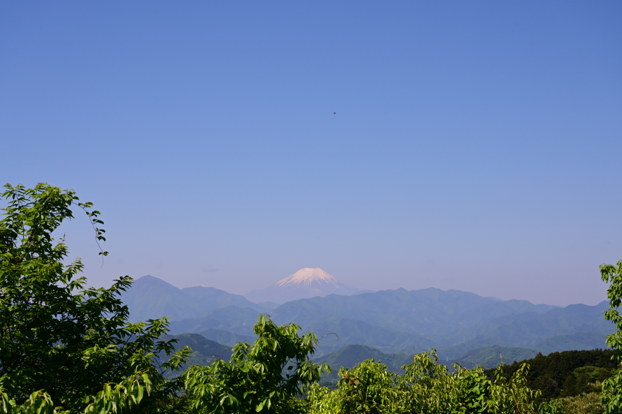 富士山