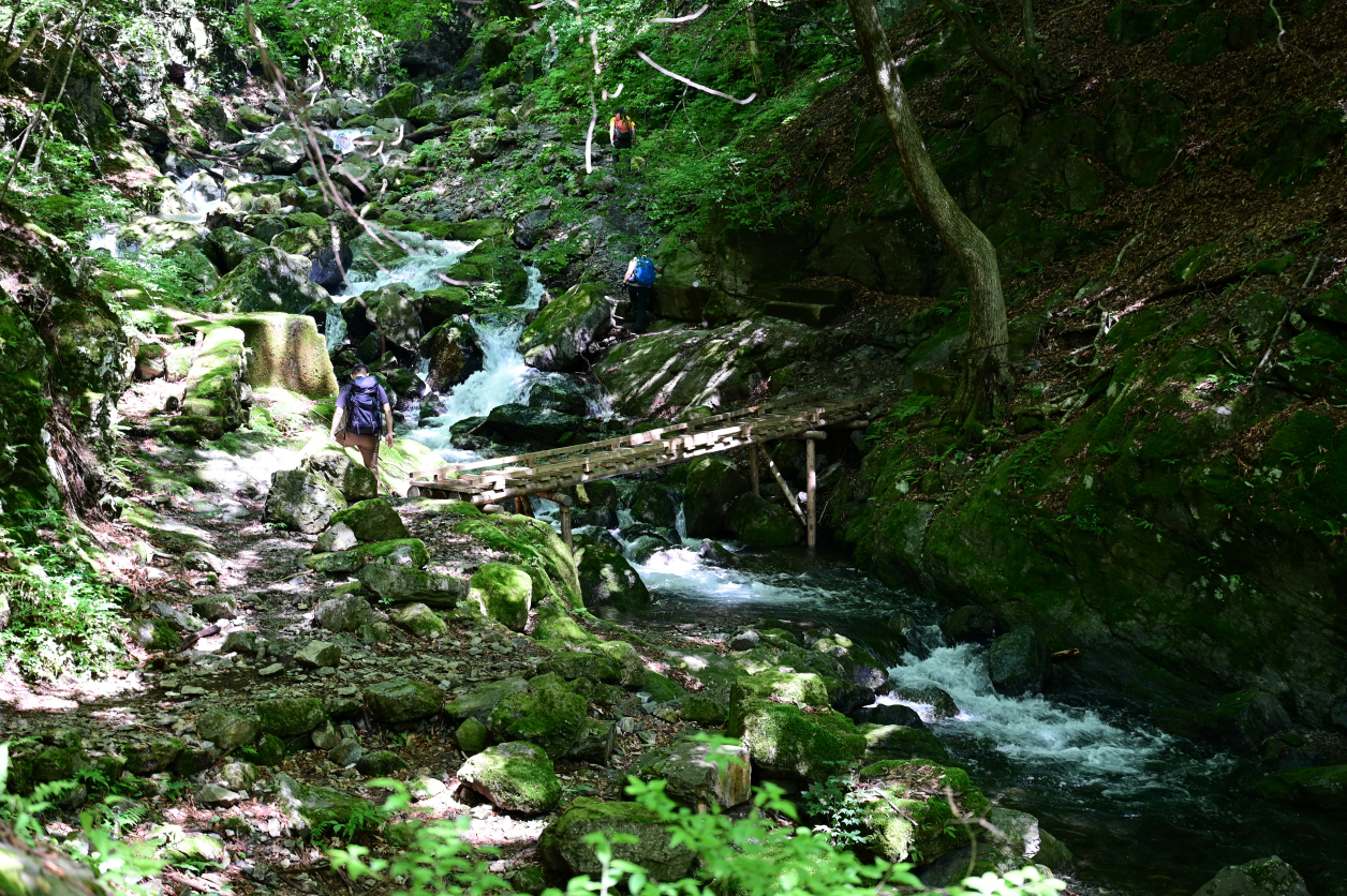 川苔山