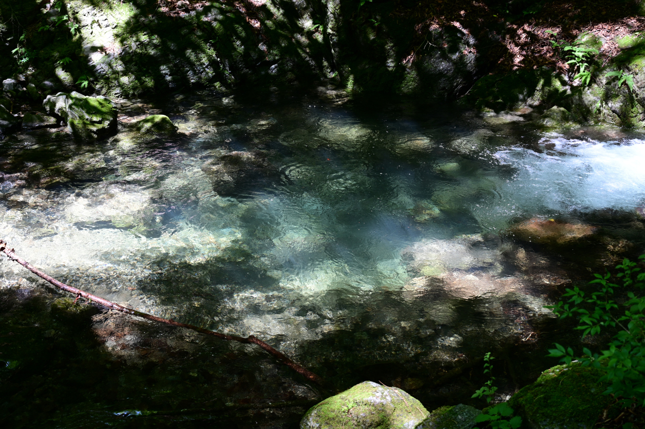 川苔山