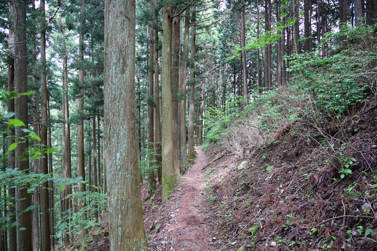 川苔山