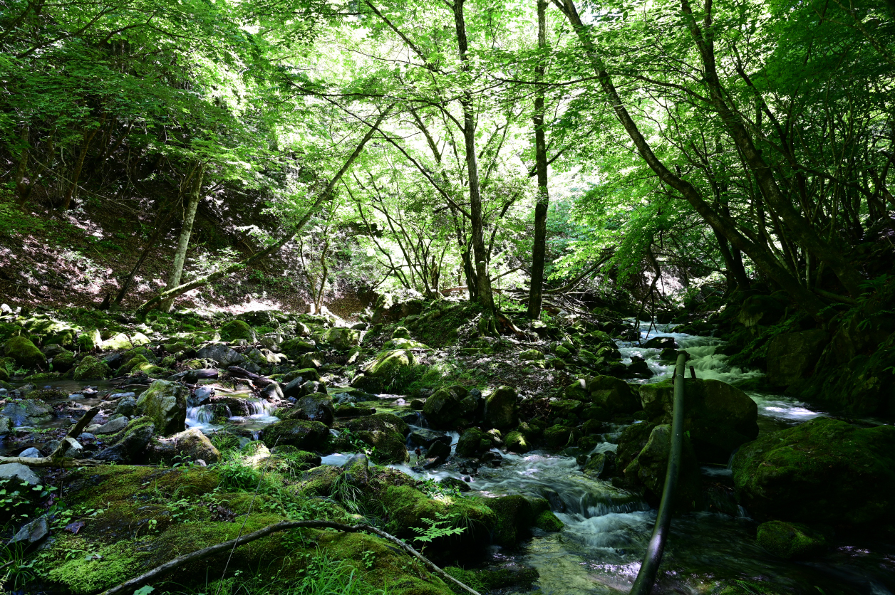 川苔山