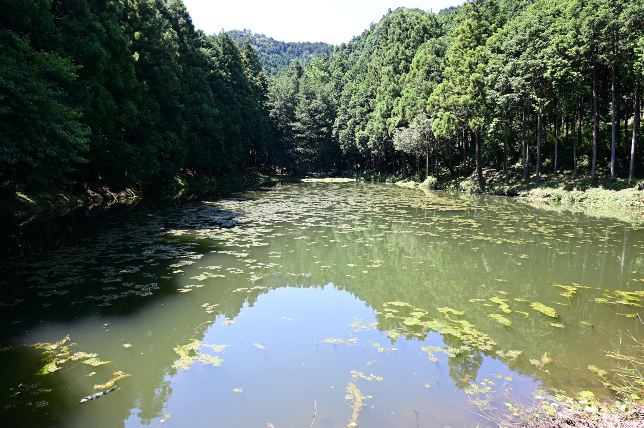 天王沼