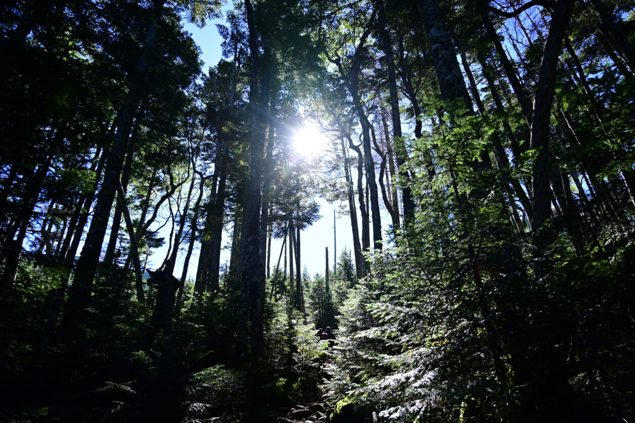 硫黄岳