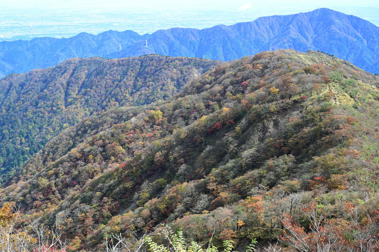 塔ノ岳