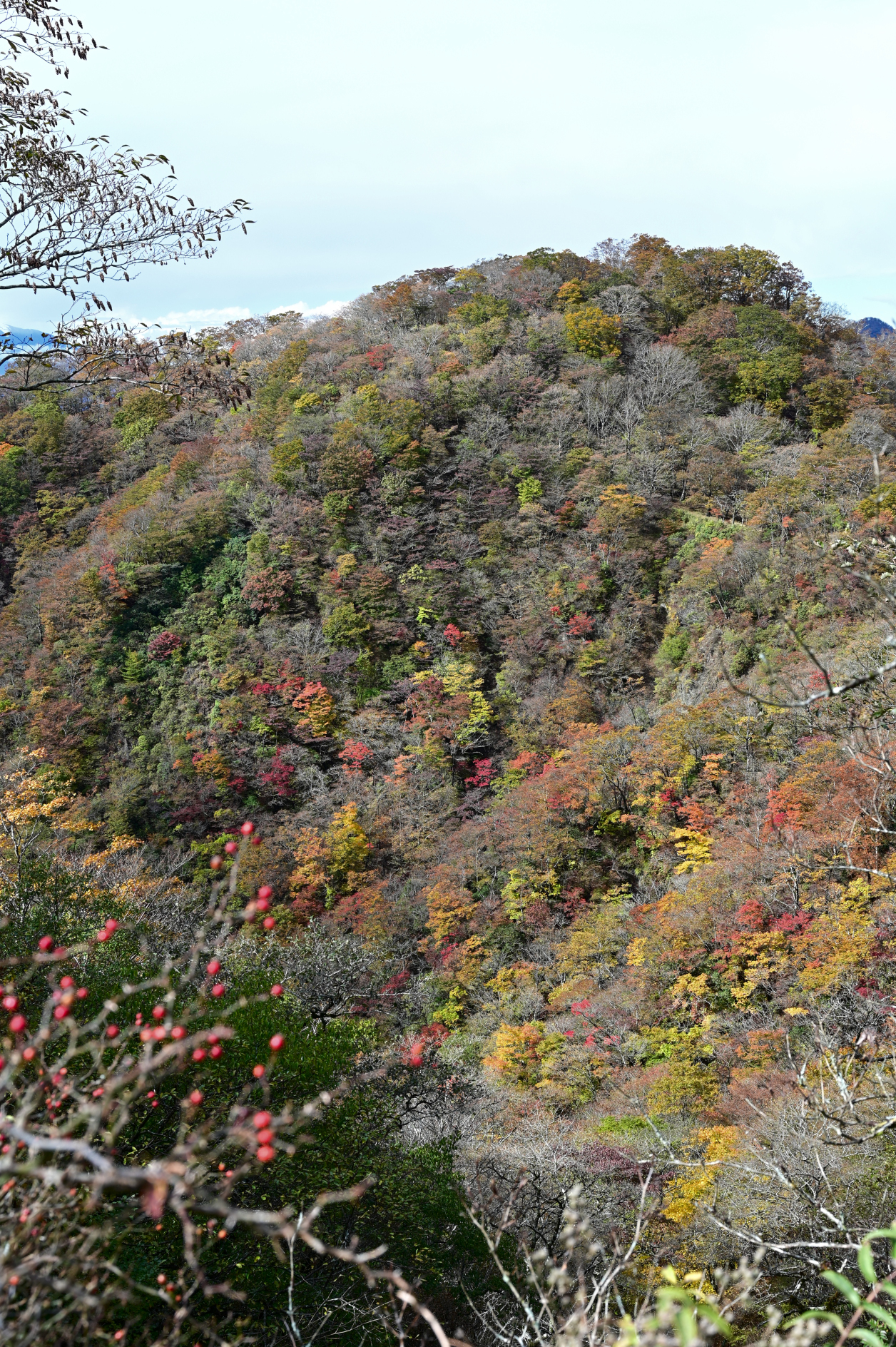 塔ノ岳