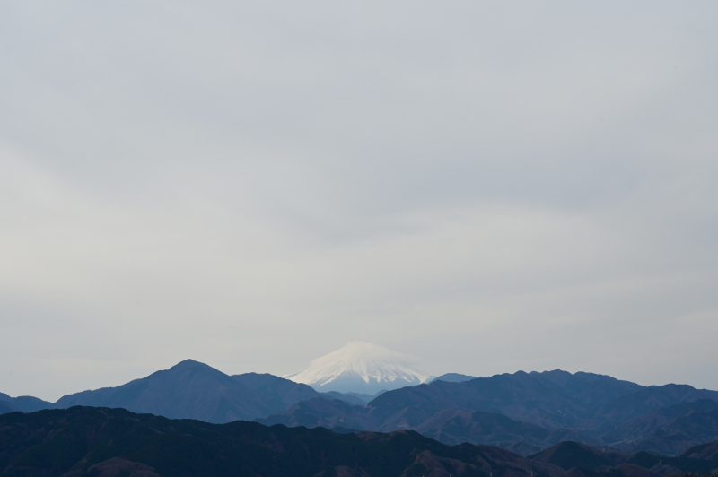 高尾山からの富士山