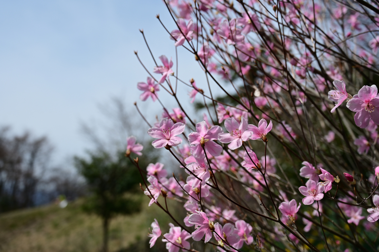 城山