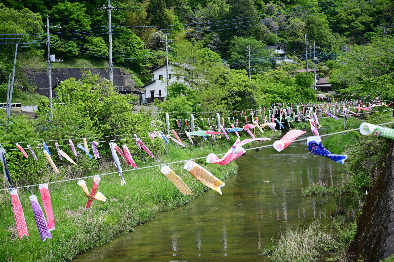 鯉のぼり